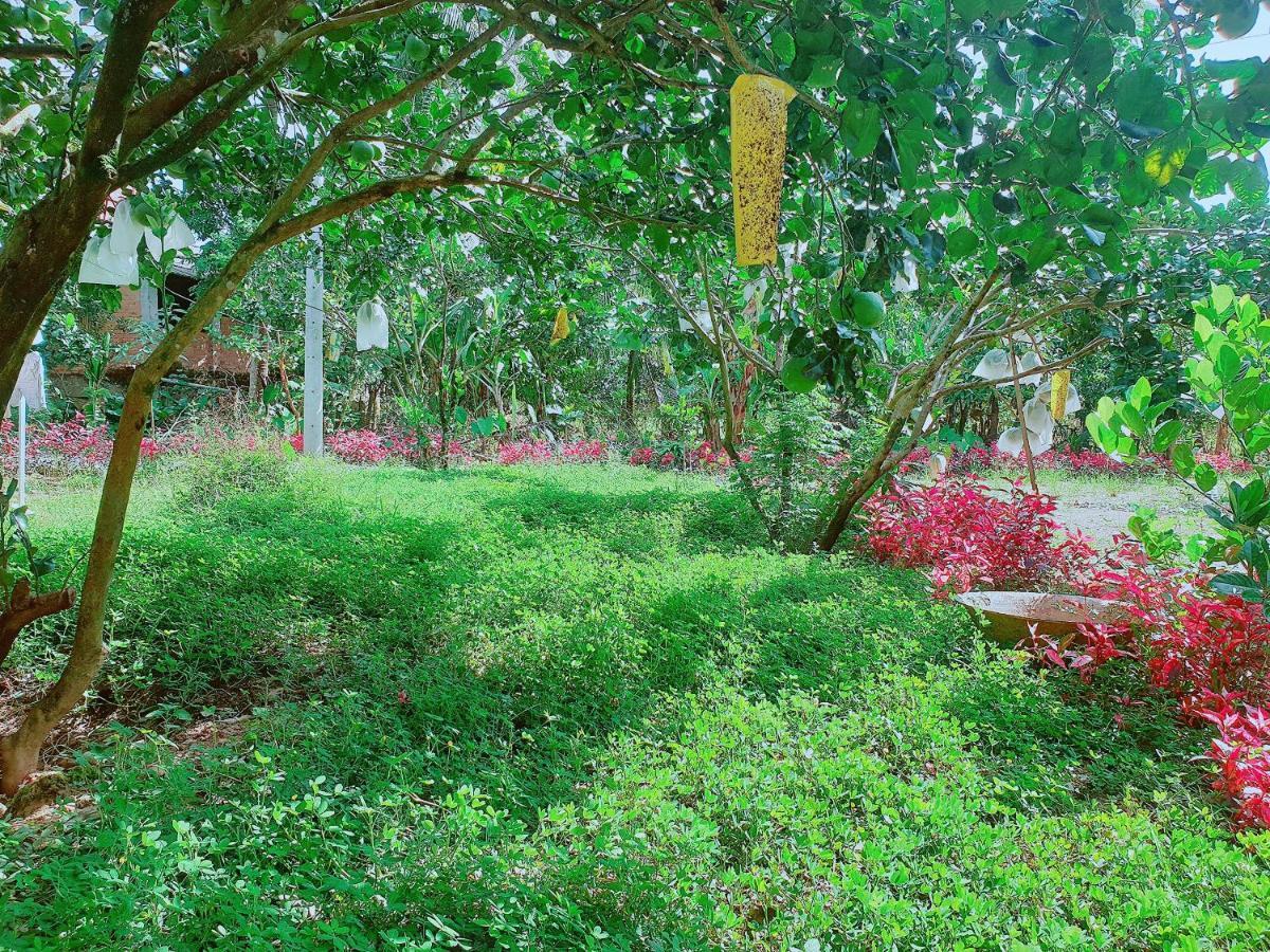 Thuy Tien Ecolodge كات تيان المظهر الخارجي الصورة